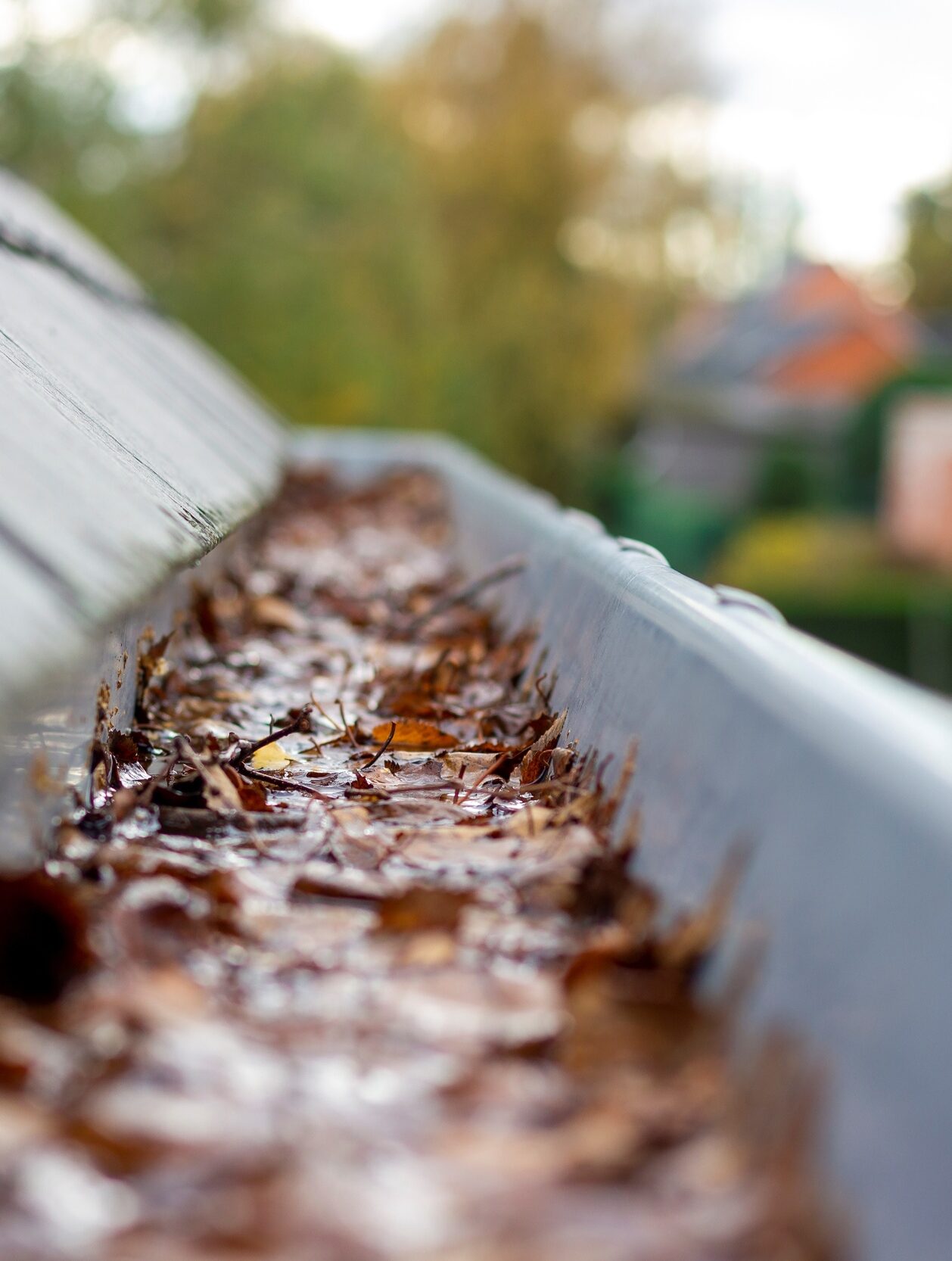 NettoNettoyage toiture Saint-Médard-en-Jalles