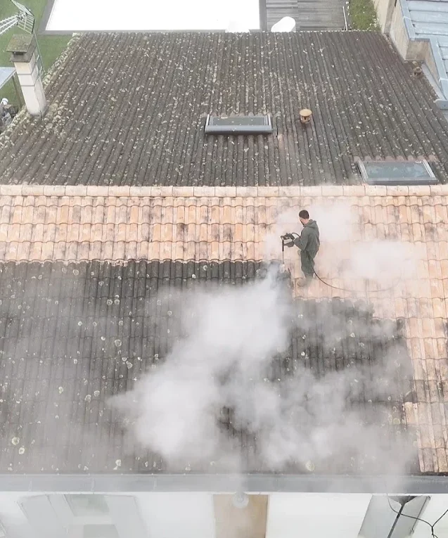 nettoyage toiture bassin