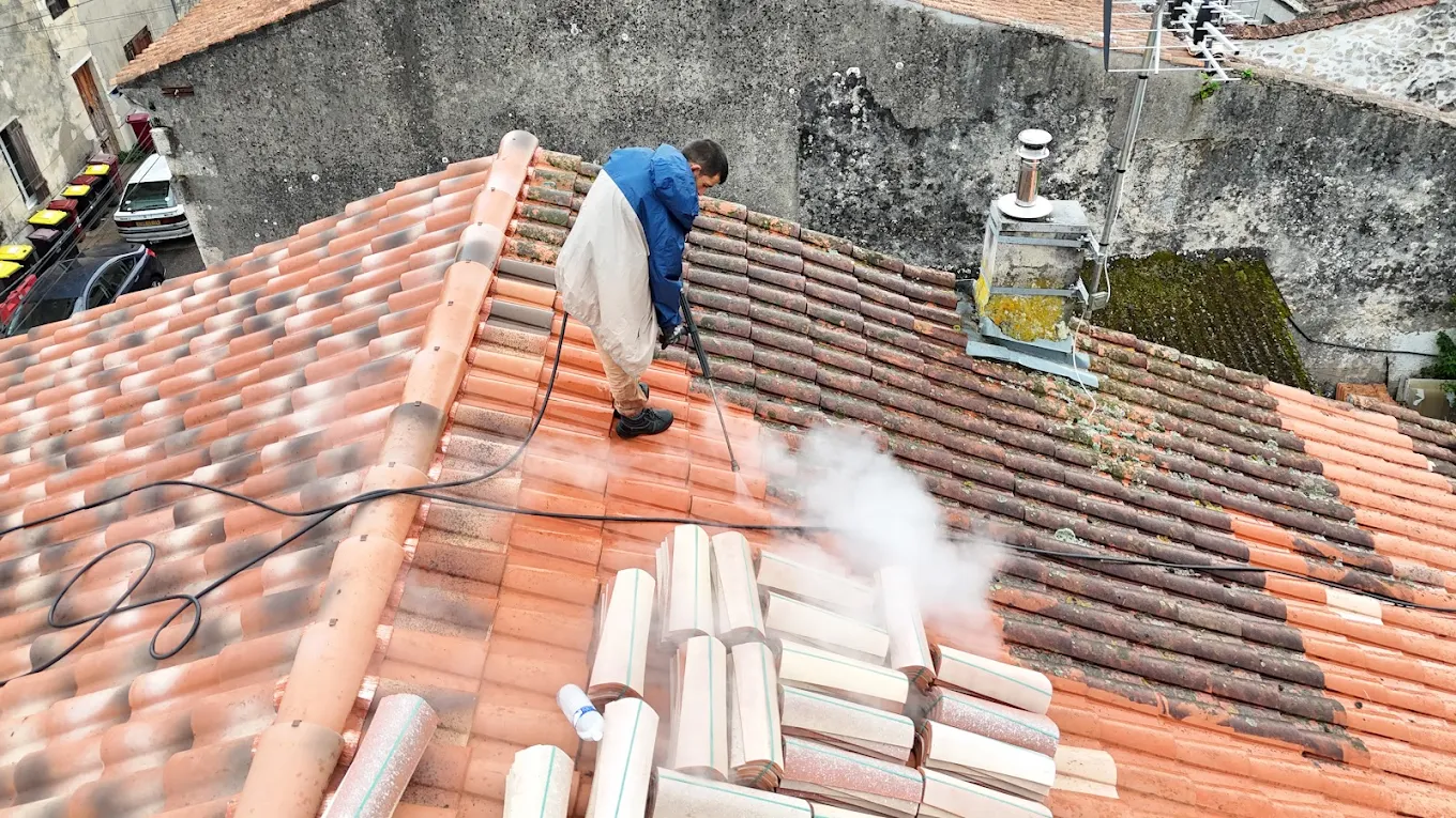 nettoyage toiture bassin