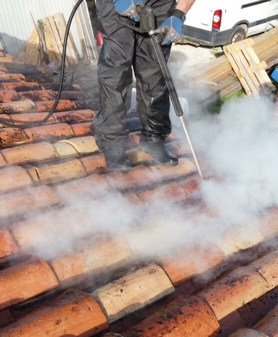 Nettoyage toiture La Teste-de-Buch